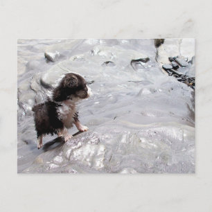 Carte postale Monter