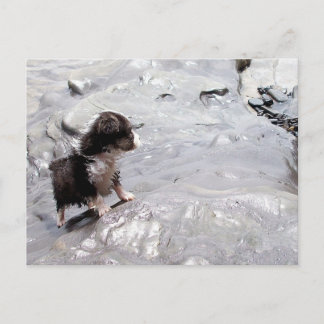 Carte postale Monter