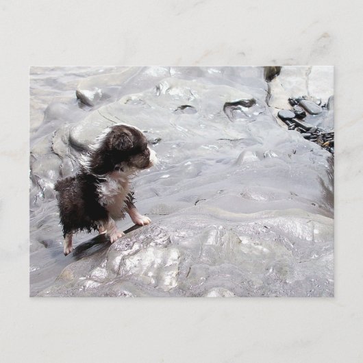 Carte postale Monter (Devant)