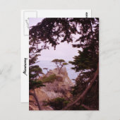 Carte Postale Monterey (Devant / Derrière)