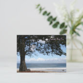 Carte Postale Monterey Bay, Ca (Debout devant)