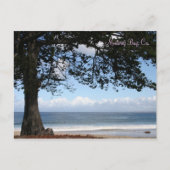 Carte Postale Monterey Bay, Ca (Devant)