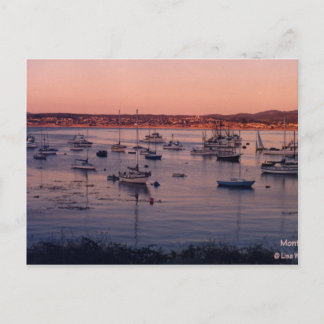 Carte Postale Monterey Bay California 1985