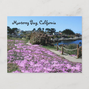 Carte postale Monterey Bay, Californie