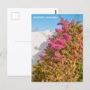 Carte Postale Monterey Bay, Californie   Photographie de film   