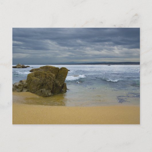 Carte Postale Monterey Beach (Devant)