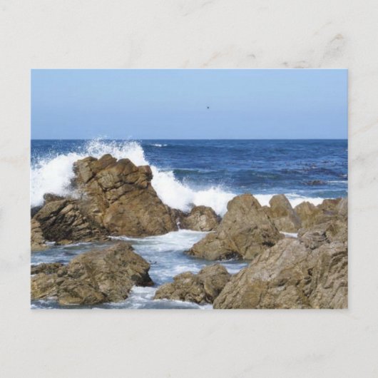 Carte Postale Monterey, CA (Devant)