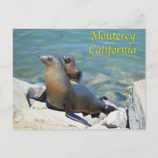 Carte postale Monterey California (Devant)