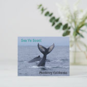 Carte postale Monterey California Whale Tail (Debout devant)