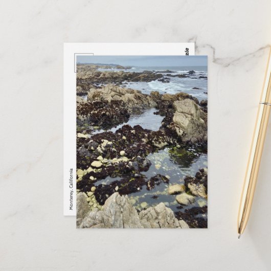 Carte postale - Monterey, Californie (Devant/Arrière en situation)