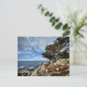 Carte postale - Monterey, Californie (Debout devant)