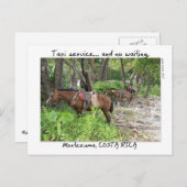Carte Postale Montezuma, Costa Rica (Devant / Derrière)