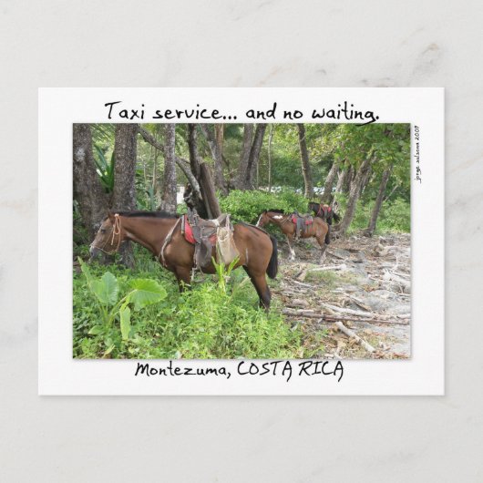 Carte Postale Montezuma, Costa Rica (Devant)