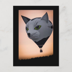 Carte postale montgolfière chat