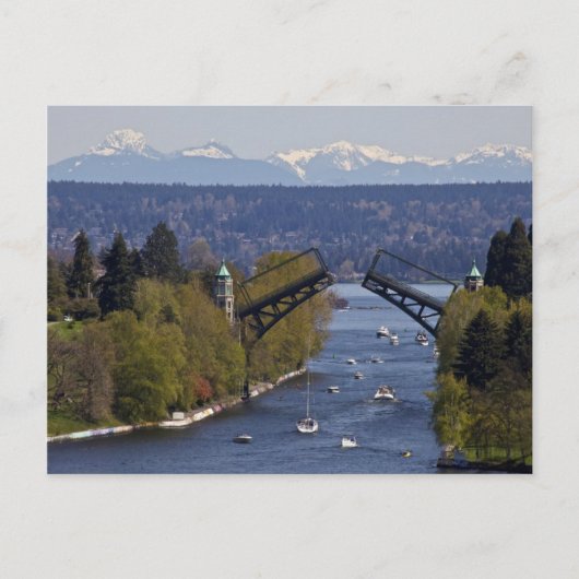 Carte Postale Montlake Bridge et Cascade Mountains (Devant)