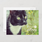 Carte Postale Montre avec chat aux yeux brillants (Devant / Derrière)