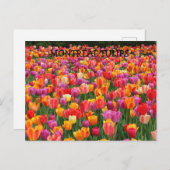 CARTE POSTALE MONTRÉAL TULIPS (Devant / Derrière)