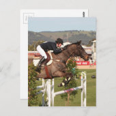 Carte Postale Montrer saut cheval et cavalier (Devant / Derrière)