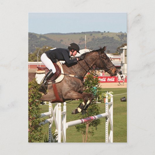 Carte Postale Montrer saut cheval et cavalier (Devant)