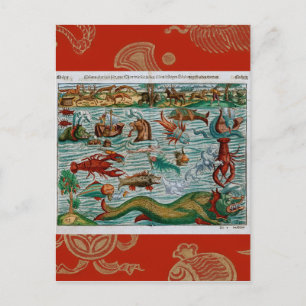 Carte Postale Montres de mer vintages