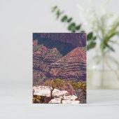 Carte Postale Montres Rafinesques (Debout devant)