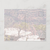 Carte Postale Montres Rafinesques (Dos)