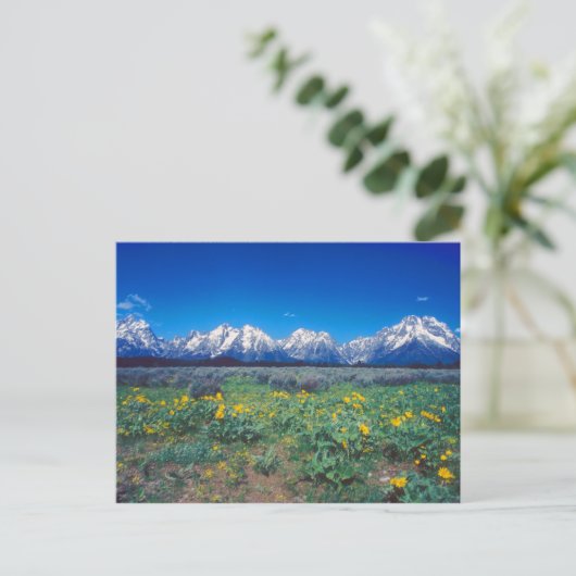 Carte Postale Monts Teton et fleurs des champs (Debout devant)