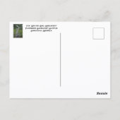 Carte Postale Monument de la jeune fille agitant le bras Savanna (Dos)