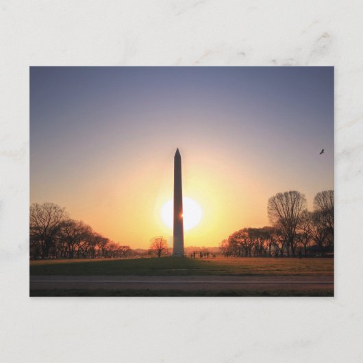Carte Postale Monument de Washington au coucher du soleil (Devant)