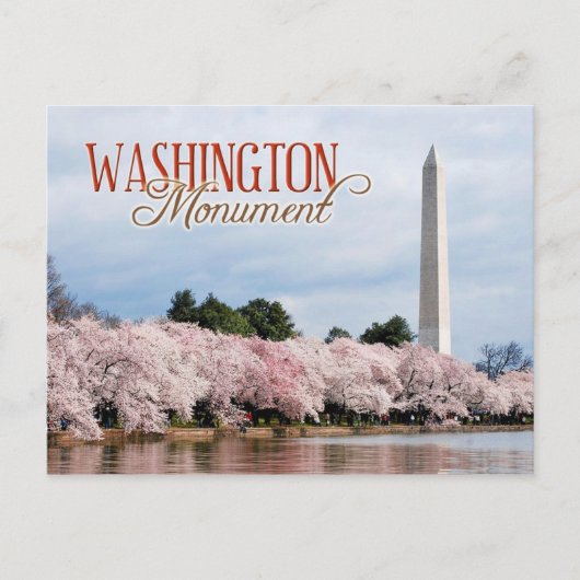 Carte Postale Monument de Washington aux fleurs de cerisiers (Devant)