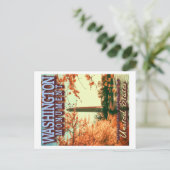 CARTE POSTALE MONUMENT DE WASHINGTON - NATIONAL MALL WASHINGTON  (Debout devant)