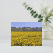 Carte Postale Monument national de Carrizo Plain (Debout devant)