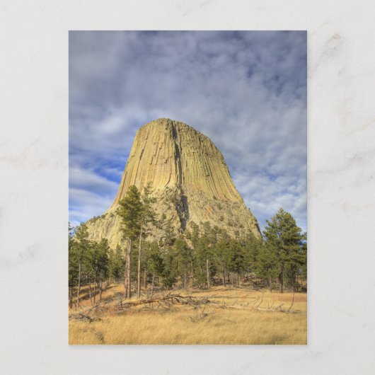 Carte Postale Monument national de Devils Tower (Devant)