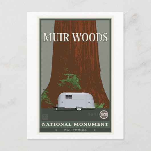 Carte Postale Monument national de Muir Woods 1 (Devant)