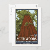 Carte Postale Monument national de Muir Woods 3 (Devant / Derrière)