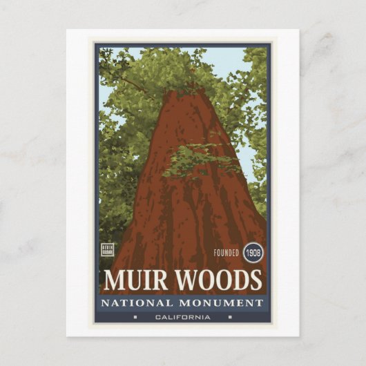 Carte Postale Monument national de Muir Woods 3 (Devant)