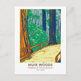 Carte Postale Monument national de Muir Woods Californie Vintage