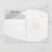 Carte Postale Monument national de Sting Ray Fossil, Fossil Butt (Dos)