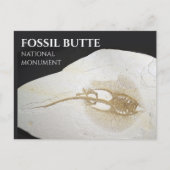 Carte Postale Monument national de Sting Ray Fossil, Fossil Butt (Devant)