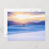 Carte Postale Monument national de White Sands 3 (Devant / Derrière)