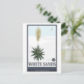 Carte Postale Monument national de White Sands 3 (Debout devant)