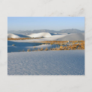 Carte Postale Monument national de White Sands, Dunes transversa
