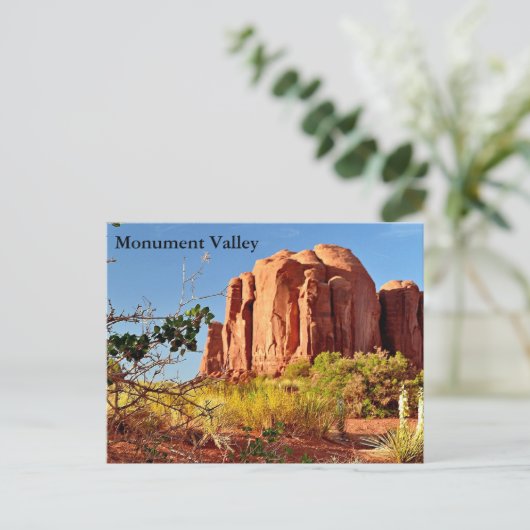 Carte postale - Monument Valley (Debout devant)