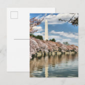 Carte Postale Monuments | Mémorial de Washington (Devant / Derrière)