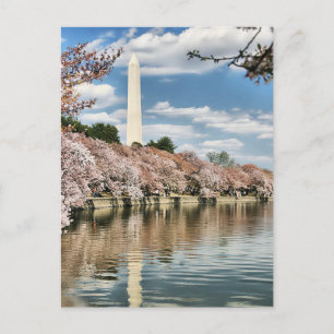 Carte Postale Monuments   Mémorial de Washington