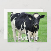 Carte postale Moo Cow Merci (Devant / Derrière)