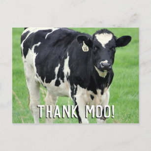 Carte postale Moo Cow Merci