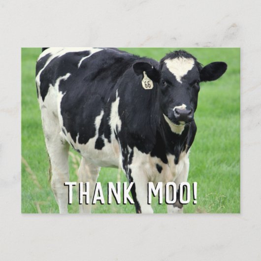 Carte postale Moo Cow Merci (Devant)