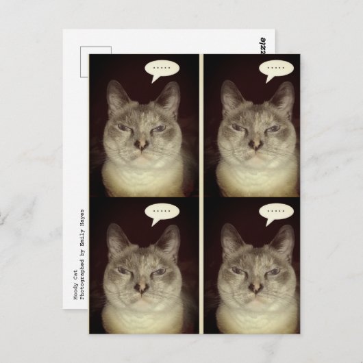 Carte Postale Moody Cat (Devant / Derrière)