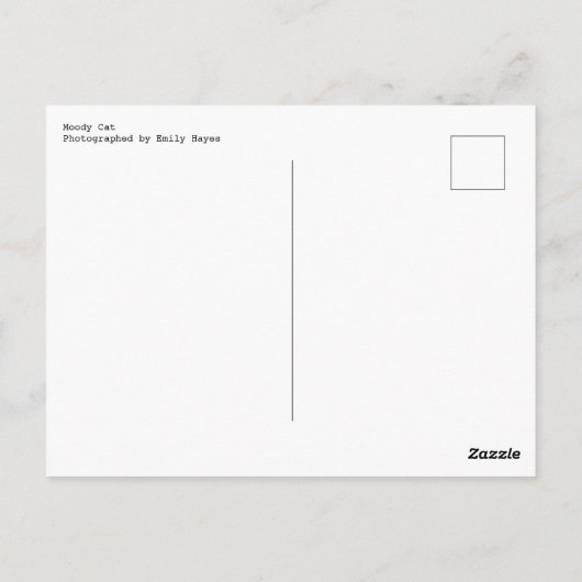 Carte Postale Moody Cat (Dos)